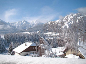 Locazione Turistica Zollerhof - OLA190